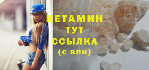 индика Инта