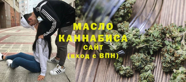 индика Инта