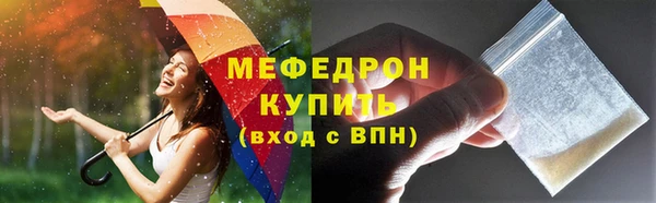 индика Инта