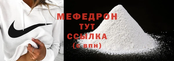 индика Инта