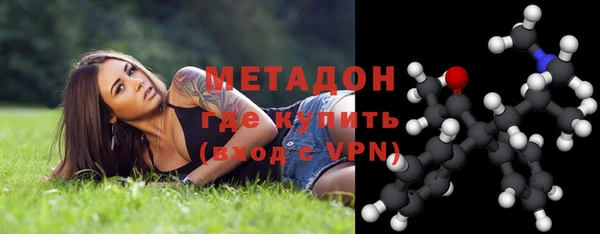 индика Инта