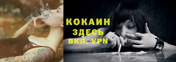 apvp Иннополис