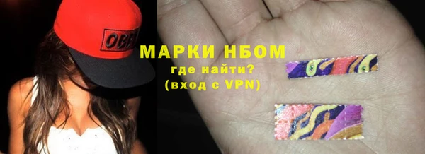 индика Инта