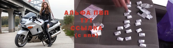 apvp Иннополис