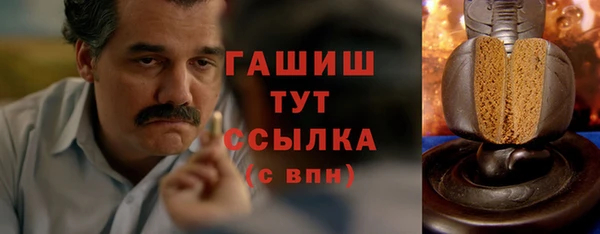 индика Инта