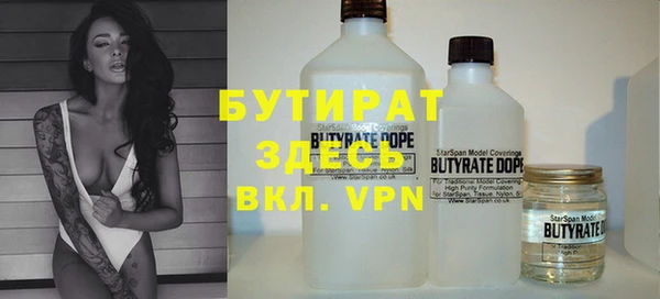 индика Инта