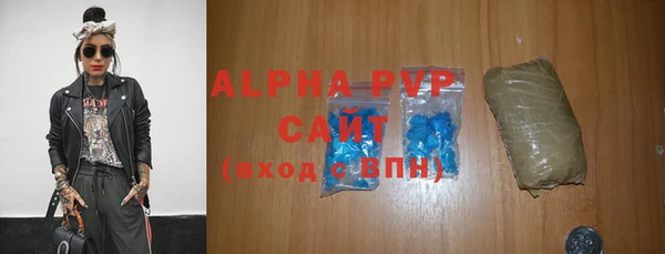 индика Инта