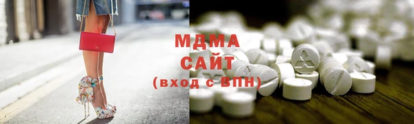 индика Инта