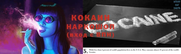 индика Инта