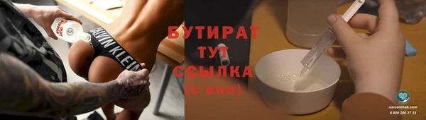 индика Инта