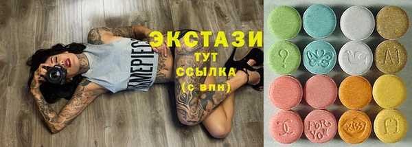 индика Инта
