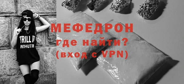 индика Инта