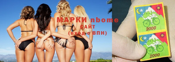 индика Инта