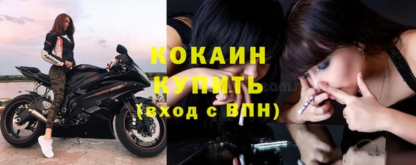 apvp Иннополис