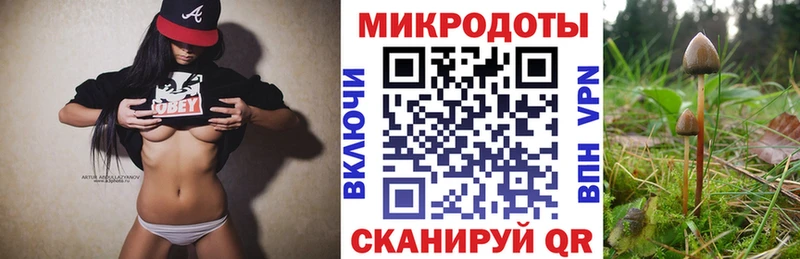 Купить закладки  Енисейск  Галлюциногенные грибы GOLDEN TEACHER 